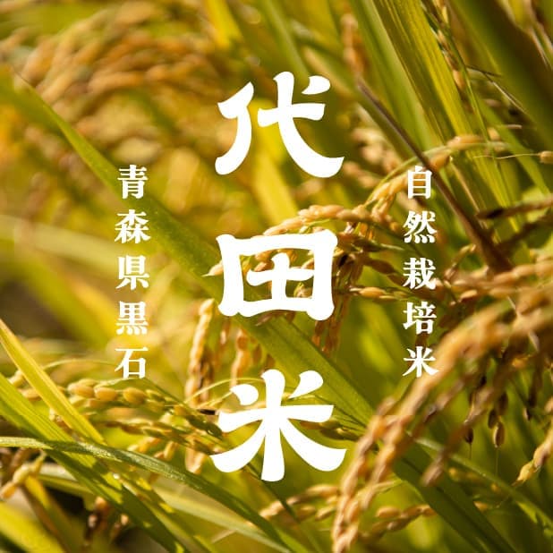 自然栽培米「代田米」